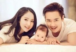 娱乐吃瓜打人事件,明星打人风波引发热议