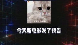 娱乐吃瓜宝典,吃瓜宝典带你领略明星幕后故事