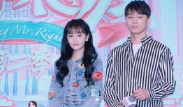 娱乐圈偶像吃瓜,揭秘明星背后的故事与真相