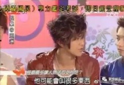 吃瓜娱乐圈cp粉是谁,揭秘“吃瓜”背后的神秘力量