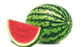 娱乐吃瓜养生,吃瓜养生两不误