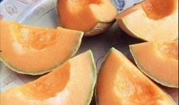 娱乐吃瓜养生,吃瓜养生两不误